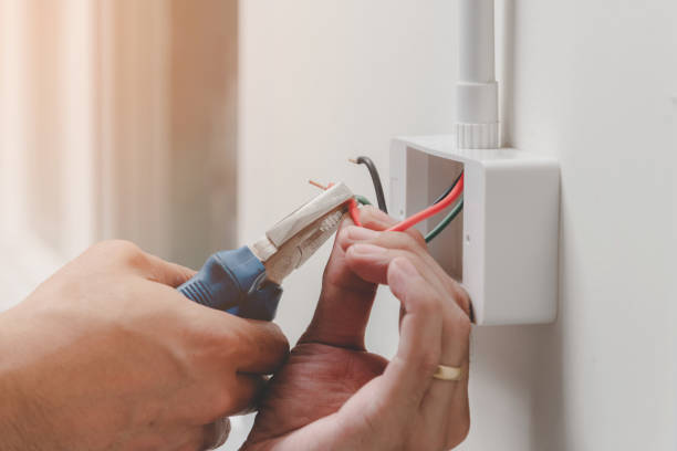 Best Electrical Panel Upgrades  in Natalia, TX